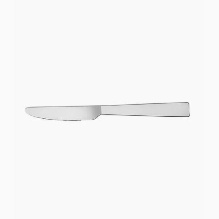 Fns Windsor Dinner Knife S2