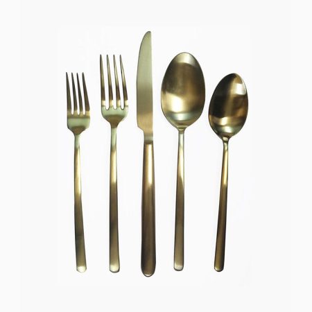 Fns Silk Dinner Spoon,Coya Color S2