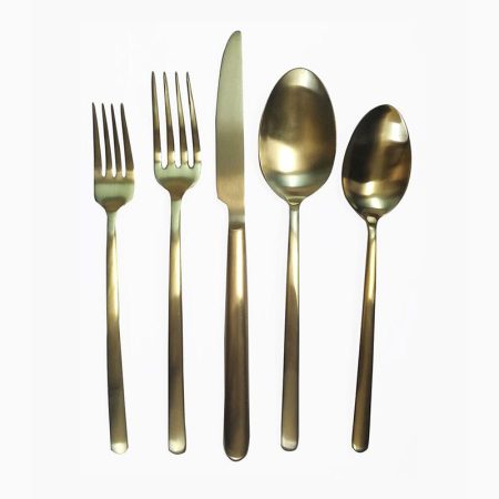 Fns Silk Dinner Fork, Coya Color S2