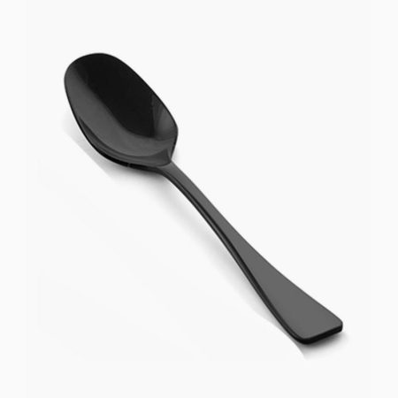 Fns Jette Tea Spoon,Titanium Black S2