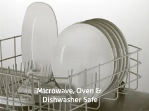 Microwave, Oven & Dishwasher Safe