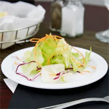 Melamine Plates